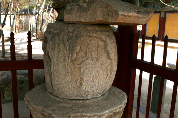 sarira detail