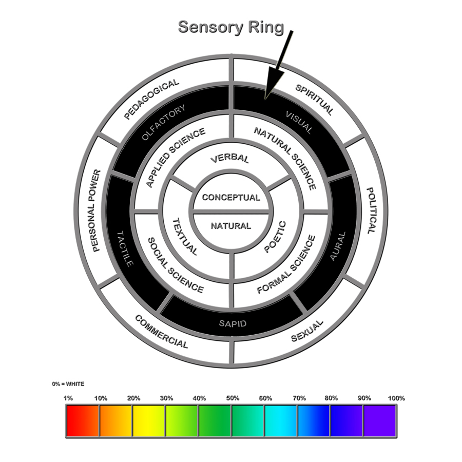 Sensory Ring