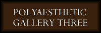 Polyaesthetic Gallery 3