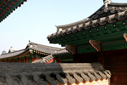 Palace building tops at Kyongbokgoong