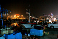 Squid boat and Bridge at night in Sokcho