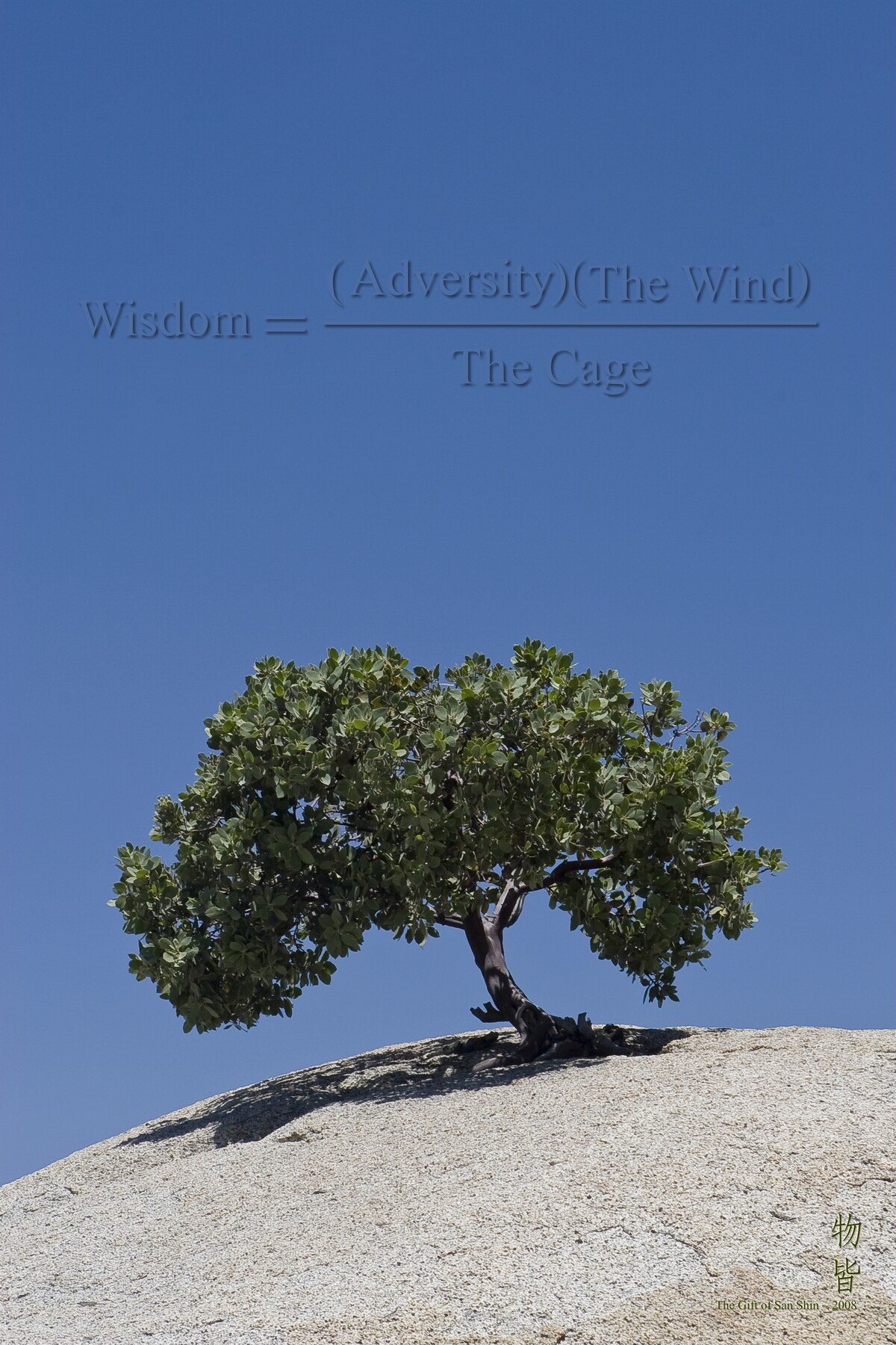 The Gift of San Shin, 2008 — Wisdom = ((Adversity)(The Wind)) / The Cage