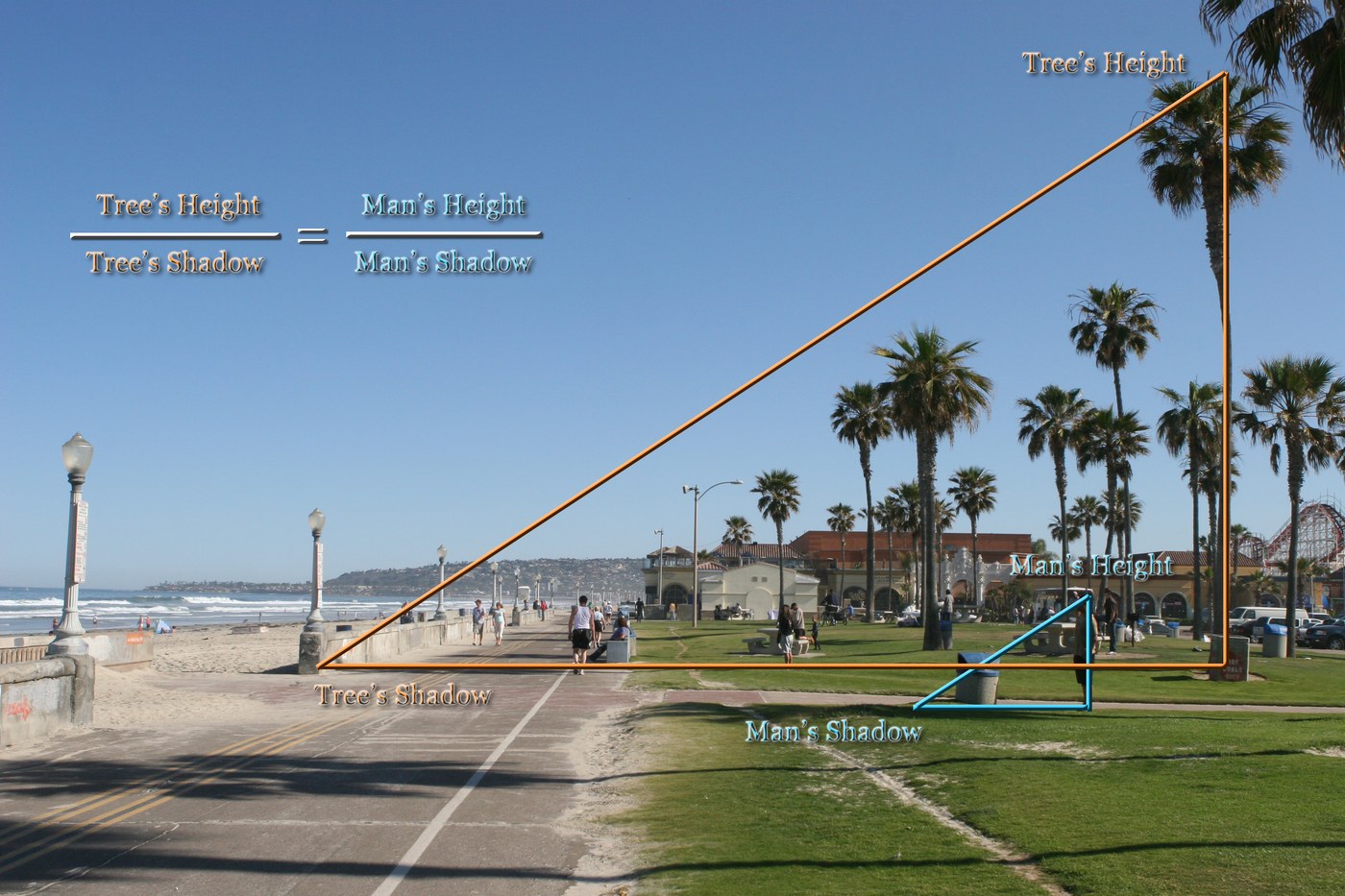 The same photograph with two right triangles drawn on it — a large orange one formed by the tree's height and shadow, a small blue one formed by the man's height and shadow — and the equation tree's height over tree's shadow equals man's height over man's shadow